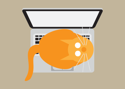 Laptop Cat