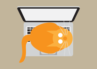 Image 5 of Laptop Cat