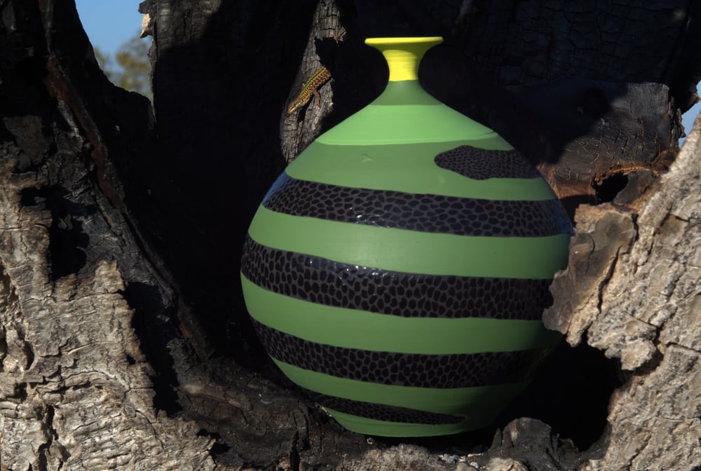 Image of Li scurzuni 1