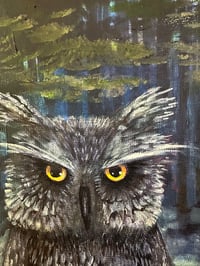 Image 2 of Owl During a Full Moon