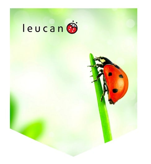 Image of Coccinelle (T-shirt)