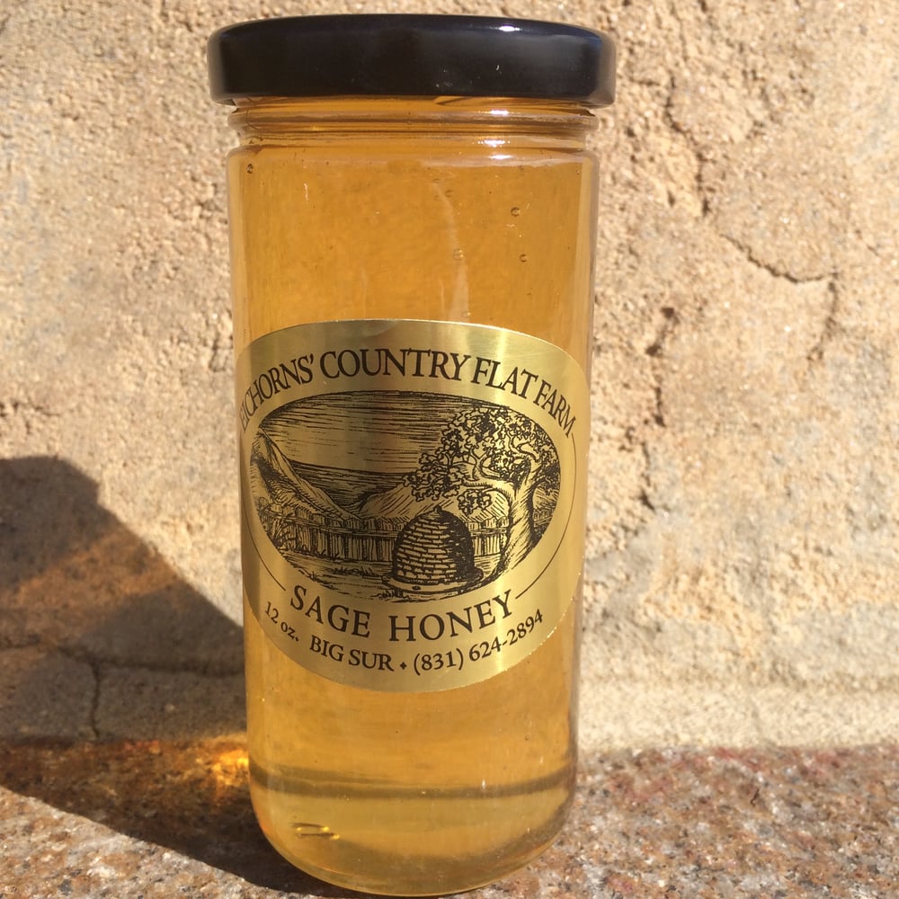 Image of Big Sur Sage Honey - Case of 6 - 12oz. jars  2021 Harvest Now Available!