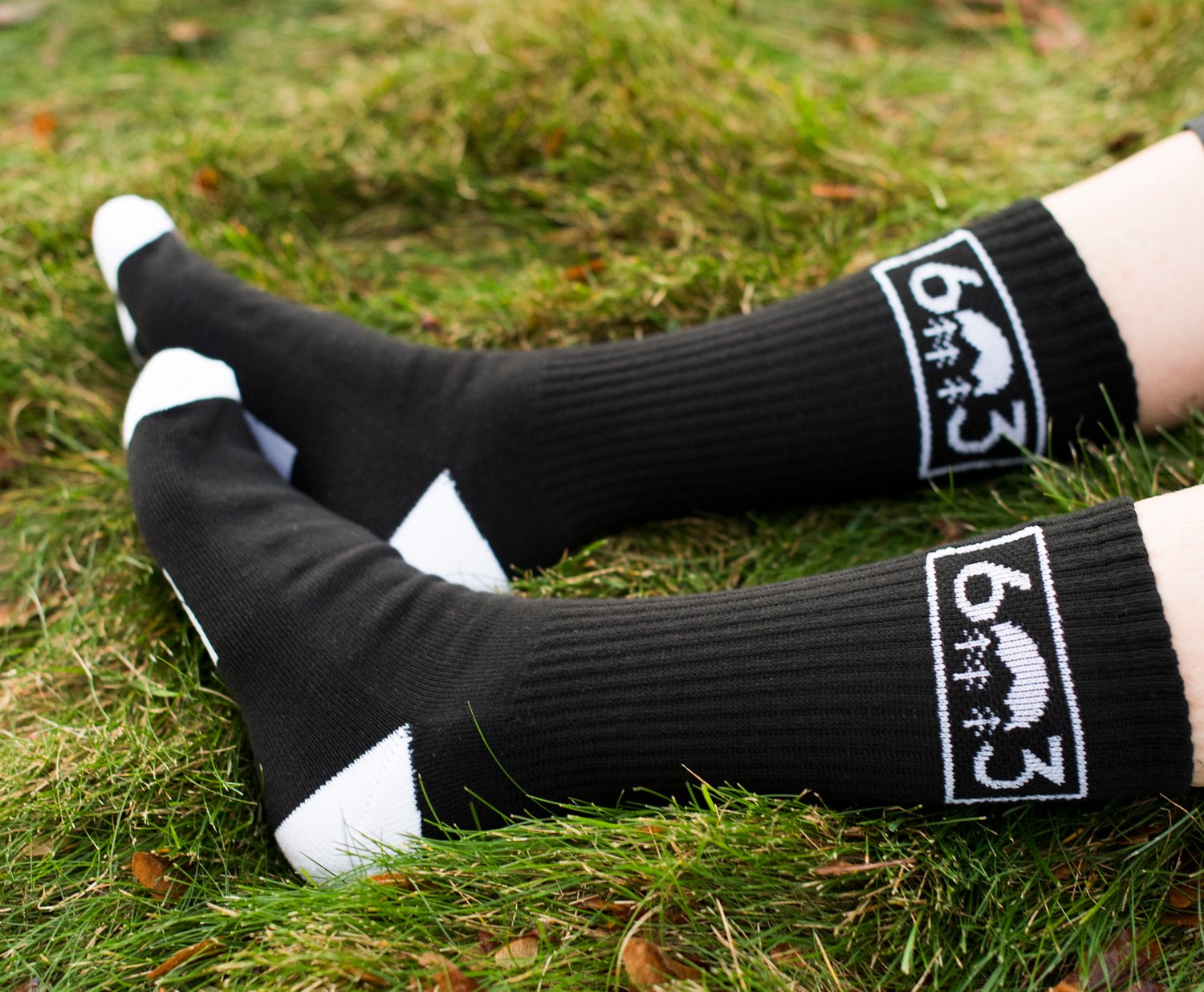 Image of 603 black/white socks