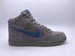 Image of NIKE DUNK HIGH PRO SB "IRONS"