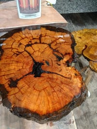 Image 4 of Ol' Bumpy - Oldest Recorded Florida Longleaf Pine