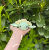 Image 5 of Flower Turtles