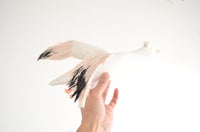 Image 2 of cocon snow goose for Happy to see you