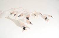 Image 5 of cocon snow goose for Happy to see you