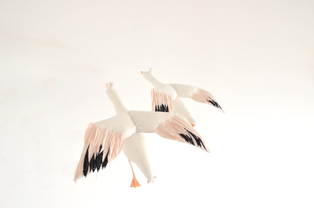 Image of cocon snow goose for Happy to see you