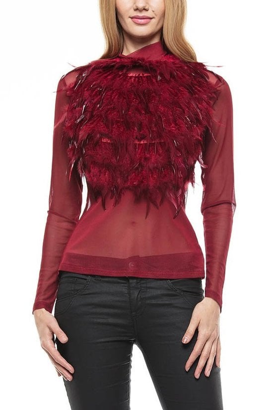 Image of Feather Front Sheer Top