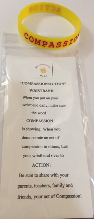 Image of Compassion wristband
