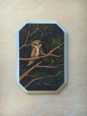 Image of Grumpy Owl and Baby Squirrel