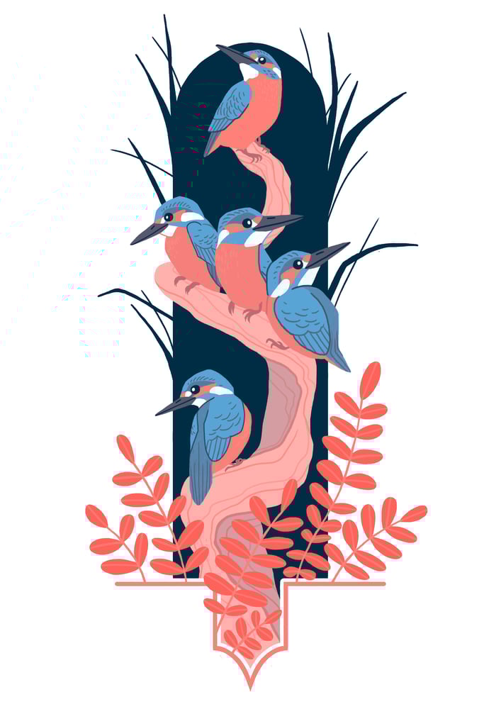 Image of Kingfishers