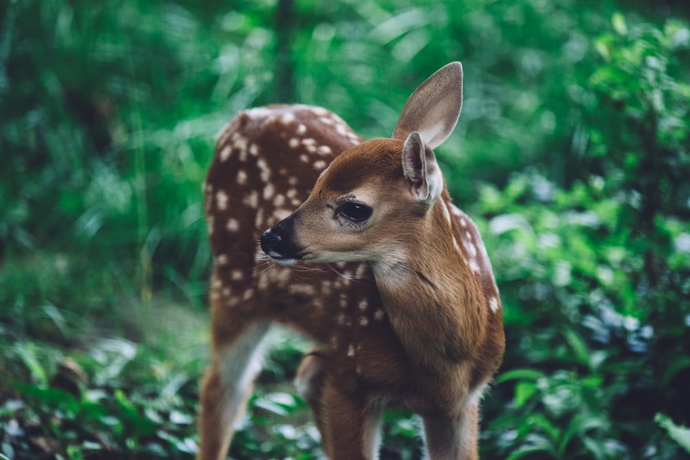 Image of in solitude