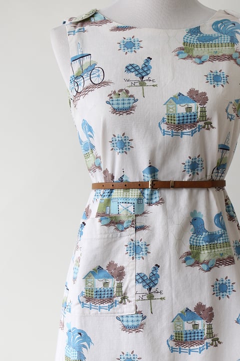 Image of SOLD Chicken Coop Farm Dress