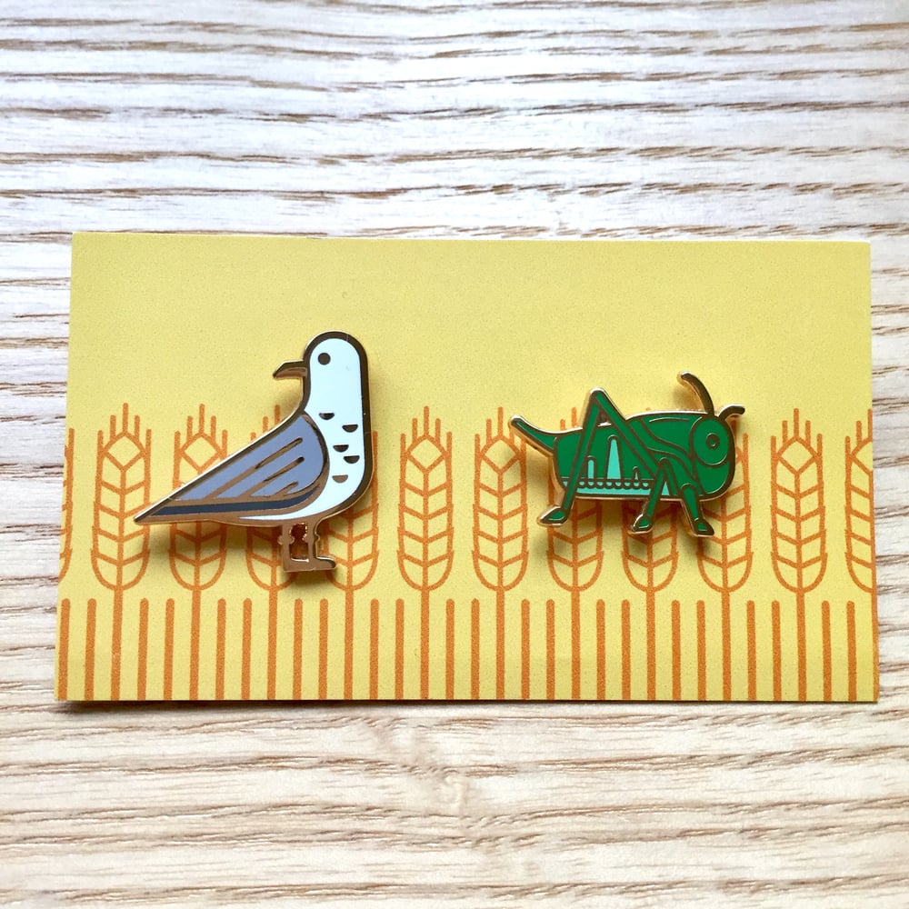 Cricket and Seagull