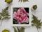 Image of Wild Rose -PRINT