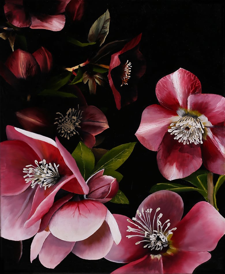 Image of "Hellebores en Noir" (print)