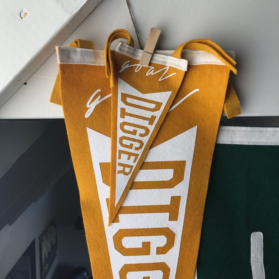 Image of [Goal Digger] pennant