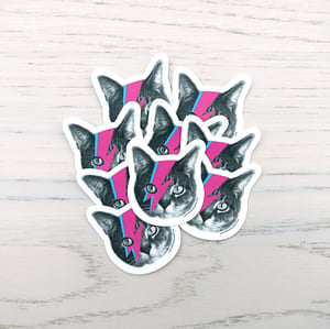 Image of bowie cat sticker - aladdin sane cat - david bowie cat decal