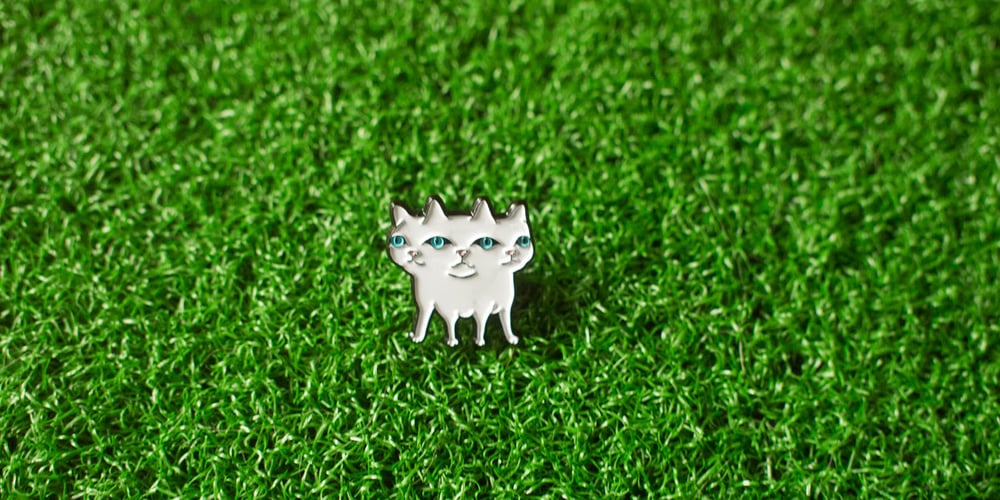 Image of Catsss Pin