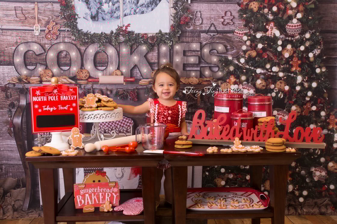 Image of HOLIDAY MINI SESSION 2024!! VIP EARLY BIRD