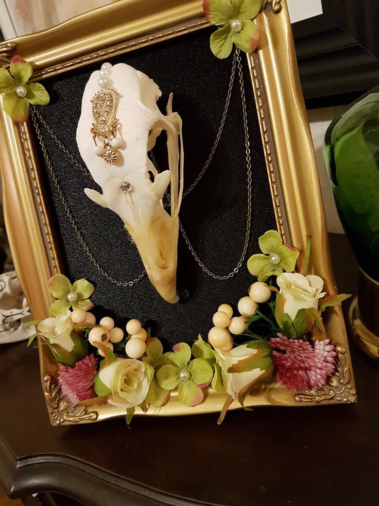 Image of Bejewelled turkey skull