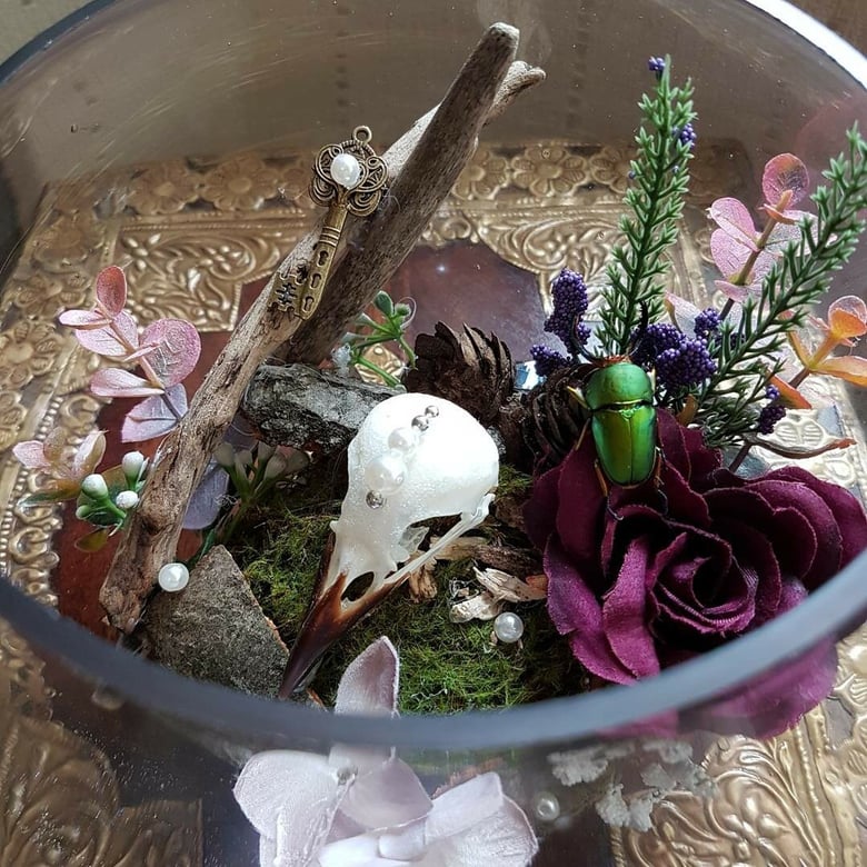 Image of Pearlescent magpie skull