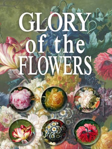 Image of Glory of the Flowers