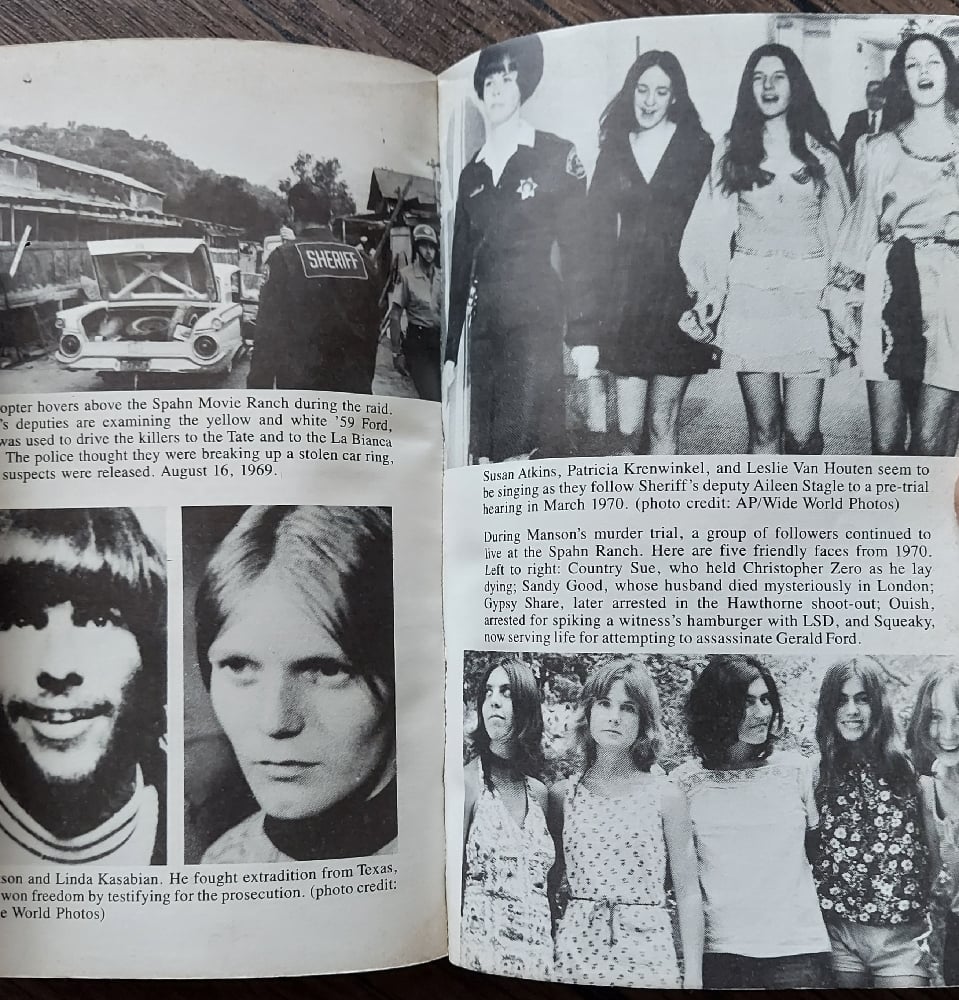 The Family, by Ed Saunders (paperback)