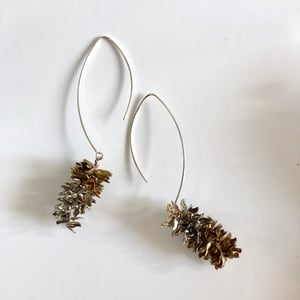 Image of Doug fir earrings