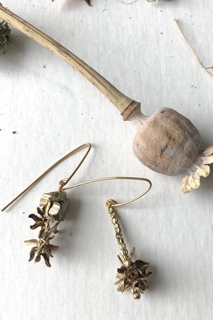 Image of Poppy Seed head earrings