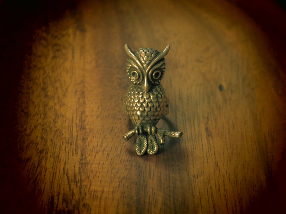 Image of Owl Ring Bronze