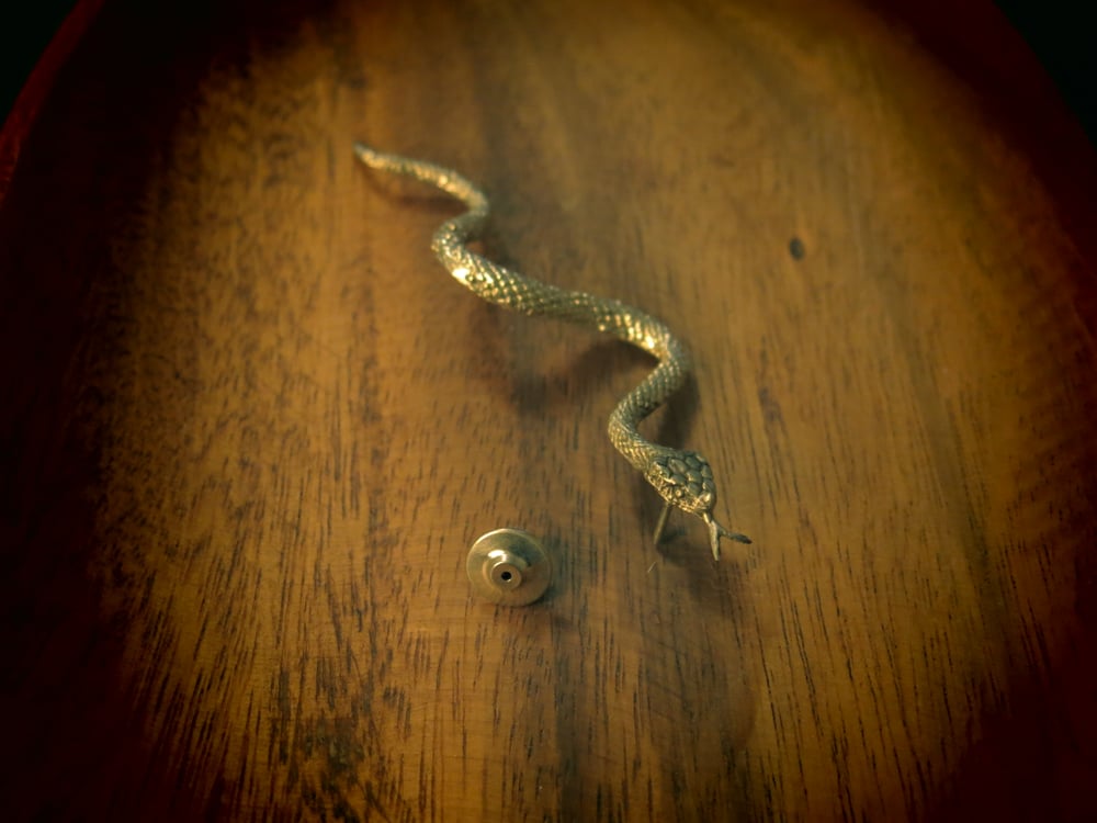 Image of Snake Lapel Pin Brass
