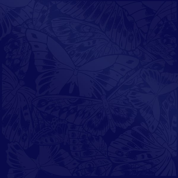 Image of Carré de soie / DOS BLEU #2