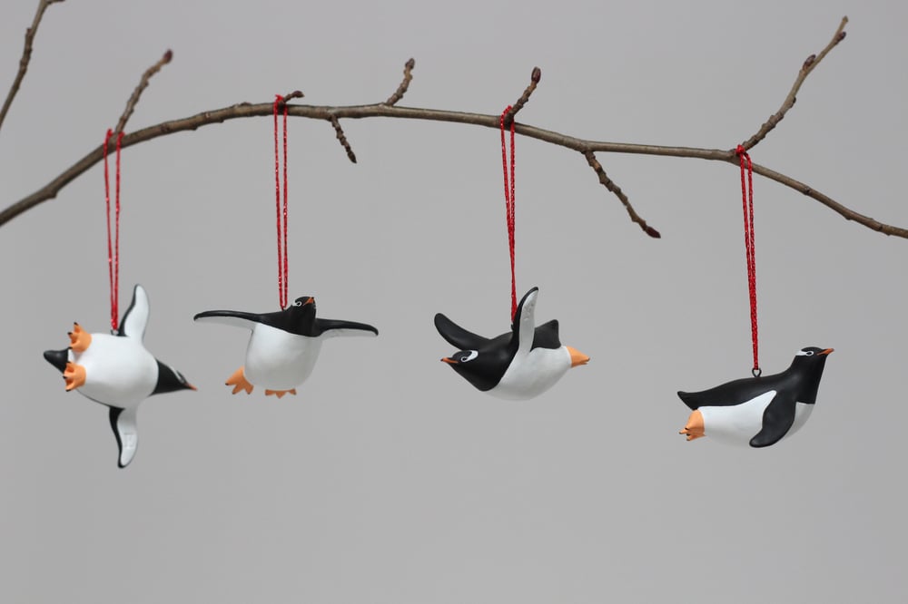 Flying Gentoo Penguins / Charming Creatures