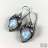 La Belladonna Earrings Rainbow Moonstone