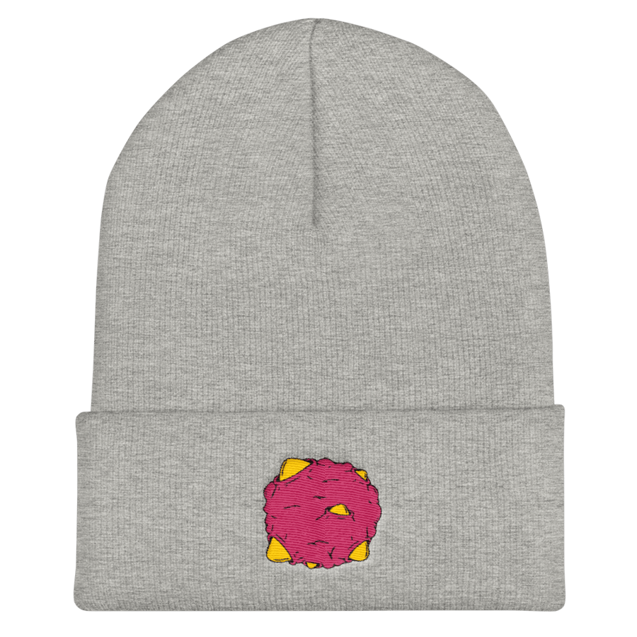 Image of HDM Planet Beanie
