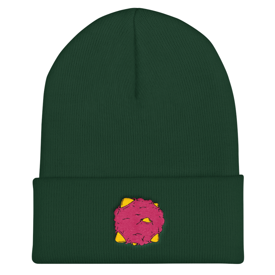 Image of HDM Planet Beanie Green