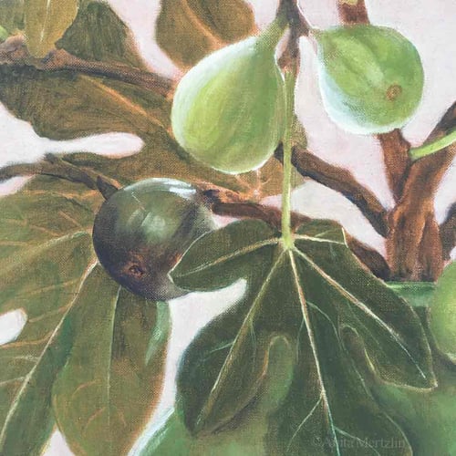 Image of Figs Print