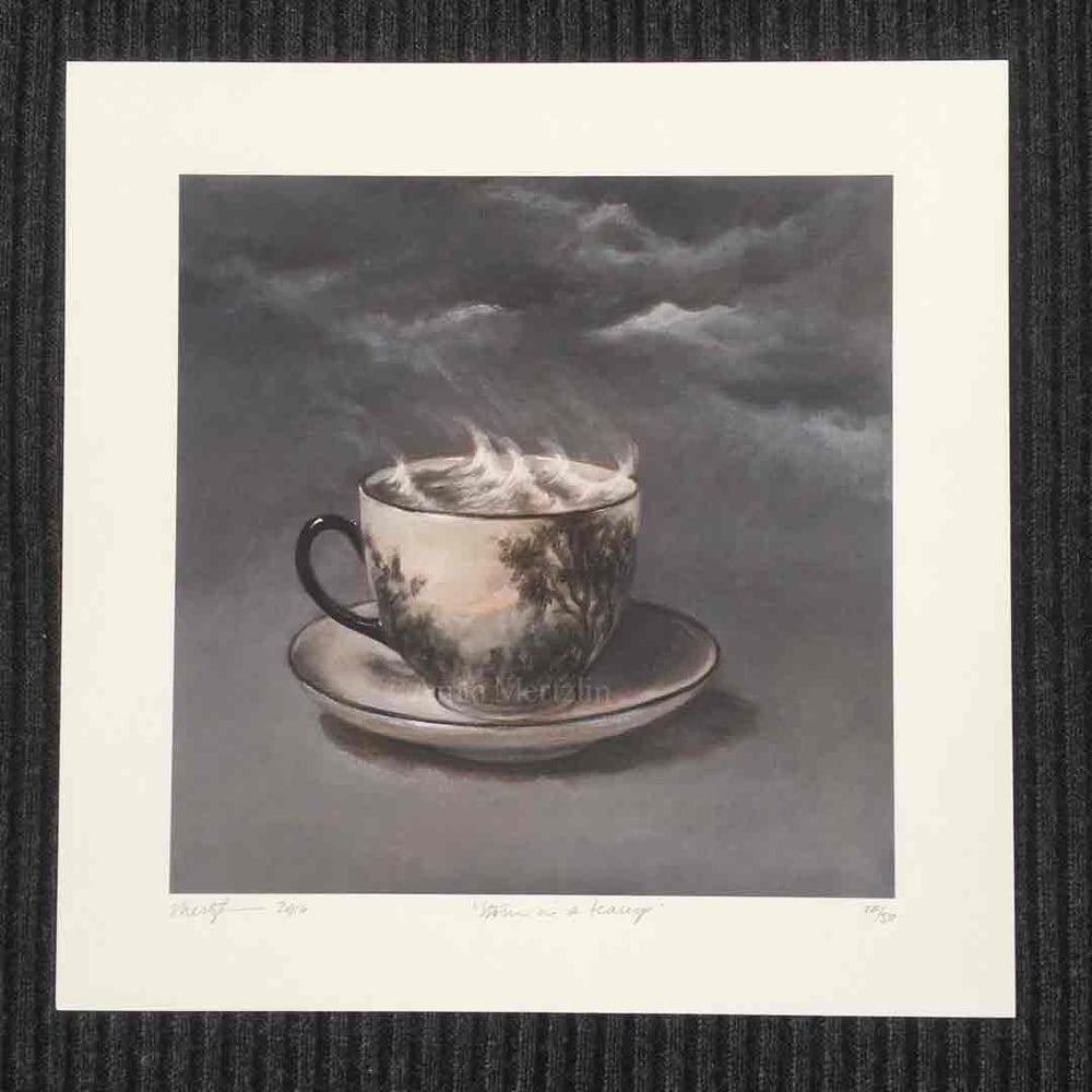 Image of A Storm in a Teacup