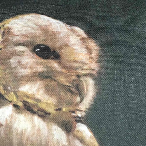 Image of Linen Owl Cushion