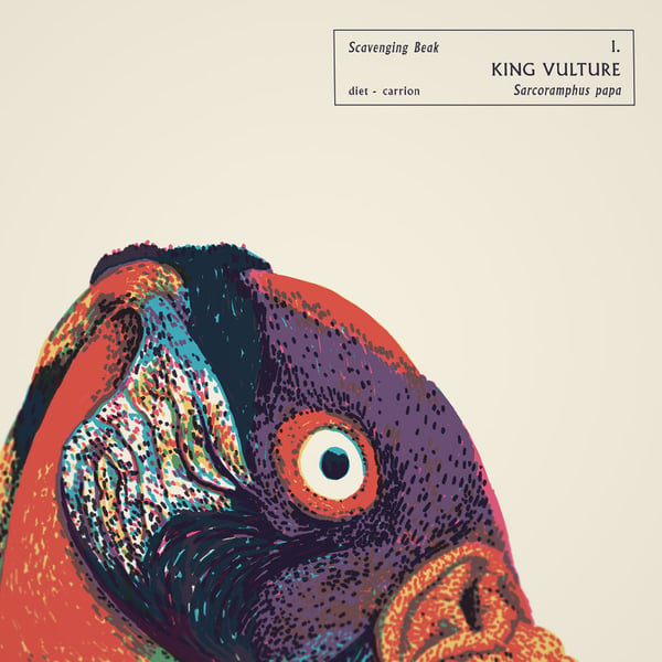KING VULTURE - Sorry.