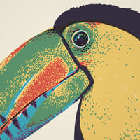 Image 2 of KEEL-BILLED TOUCAN