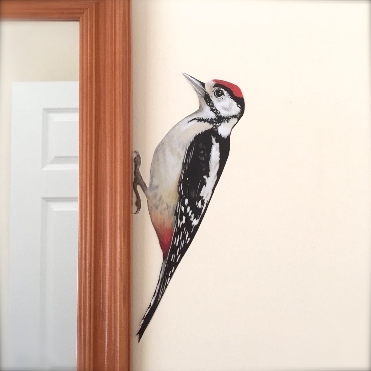 Image of Walter Woodpecker ~ Wall sticker 