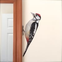 Image 4 of Walter Woodpecker ~ Removable Wall sticker