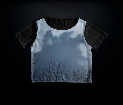 Image of twilight woods blouse