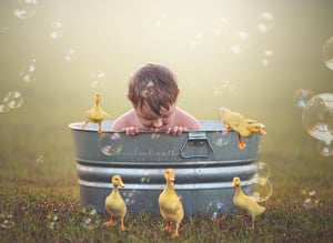 Image of Ducklings Overlays