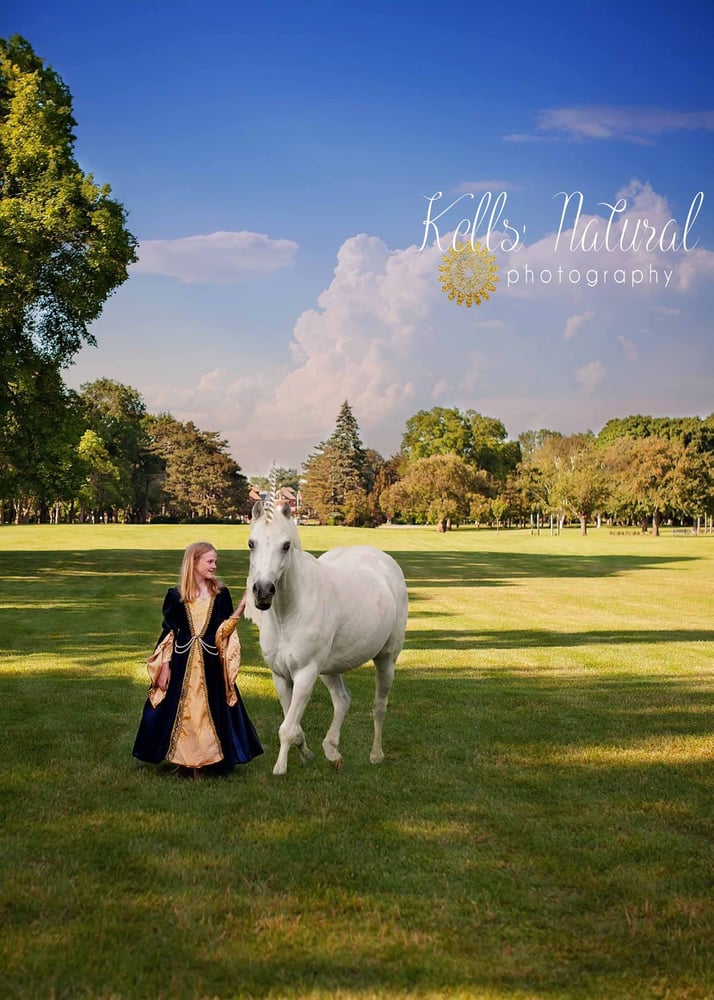 Unicorn And Moon Digital Background Shoot For The Moon Images