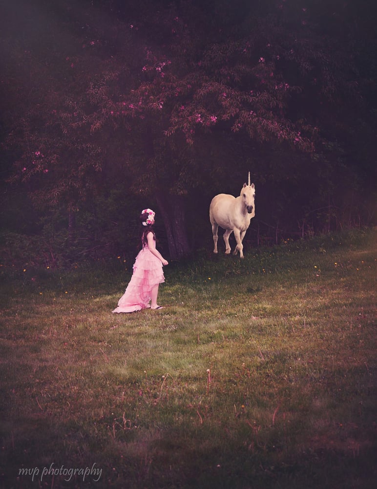 Unicorn And Moon Digital Background Shoot For The Moon Images